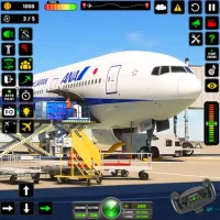 Airplane Flight Simulator 2024